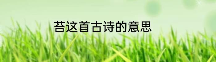 苔这首古诗的意思