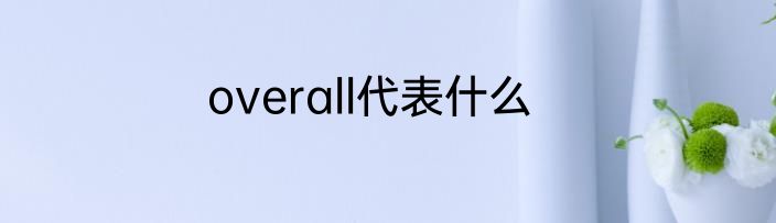 overall代表什么
