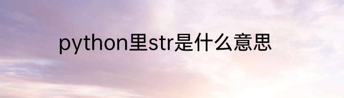 python里str是什么意思