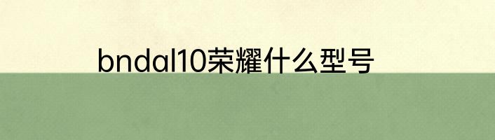 bndal10荣耀什么型号