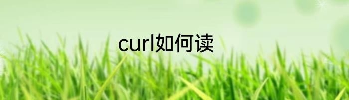 curl如何读
