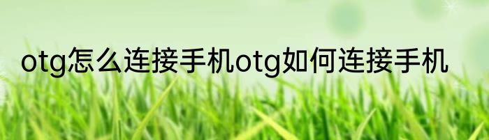 otg怎么连接手机otg如何连接手机