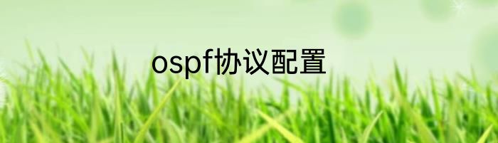 ospf协议配置