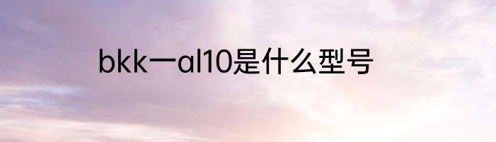 bkk一al10是什么型号