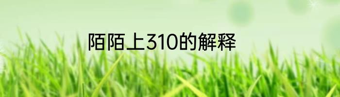 陌陌上310的解释