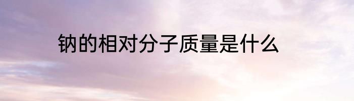 钠的相对分子质量是什么