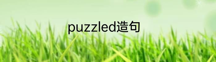 puzzled造句