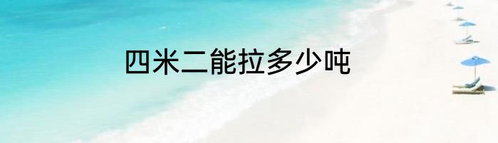 四米二能拉多少吨
