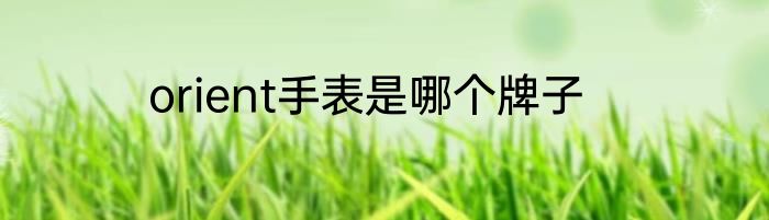 orient手表是哪个牌子