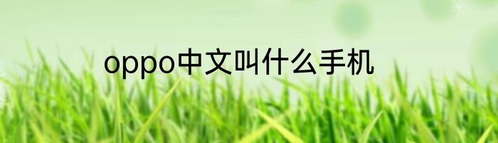 oppo中文叫什么手机