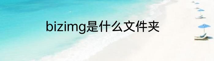 bizimg是什么文件夹