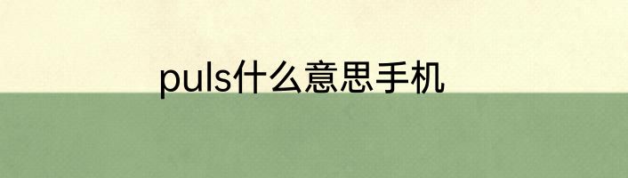puls什么意思手机