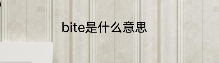 bite是什么意思