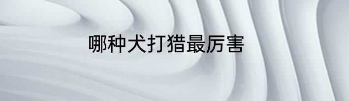 哪种犬打猎最厉害