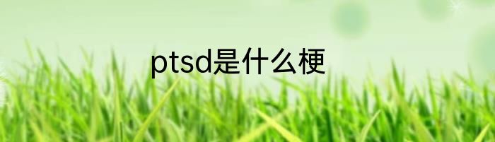 ptsd是什么梗