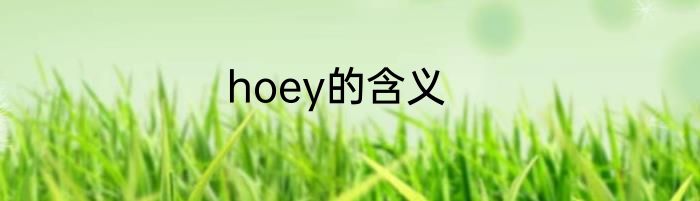 hoey的含义