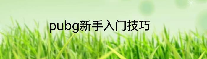 pubg新手入门技巧