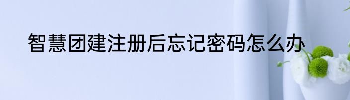 智慧团建注册后忘记密码怎么办