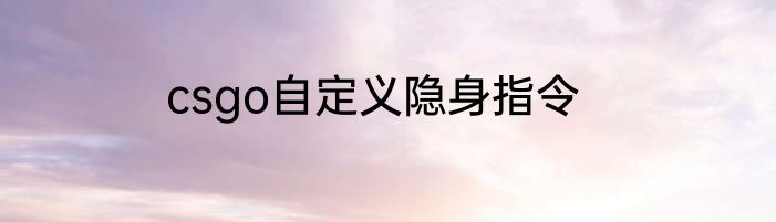 csgo自定义隐身指令