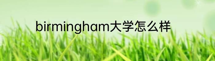 birmingham大学怎么样