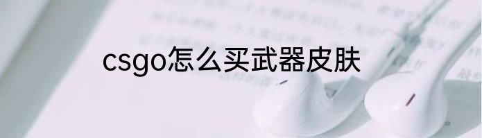 csgo怎么买武器皮肤
