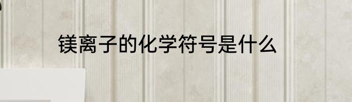 镁离子的化学符号是什么