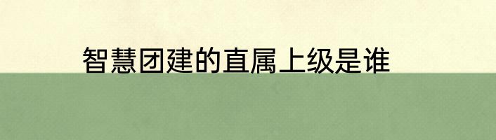 智慧团建的直属上级是谁