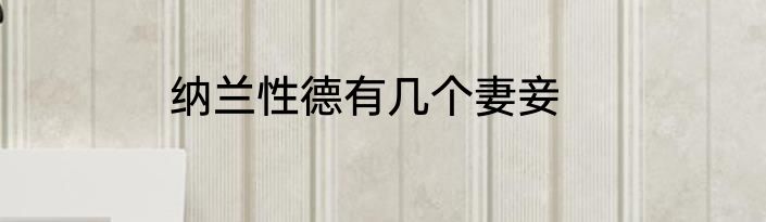 纳兰性德有几个妻妾