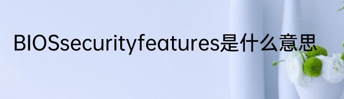 BIOSsecurityfeatures是什么意思
