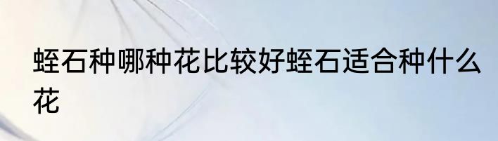 蛭石种哪种花比较好蛭石适合种什么花