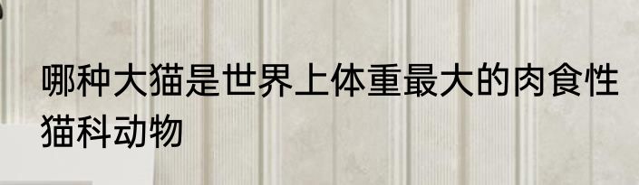 哪种大猫是世界上体重最大的肉食性猫科动物