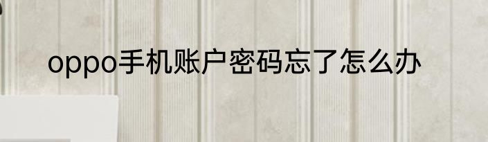 oppo手机账户密码忘了怎么办