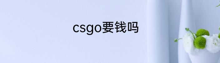 csgo要钱吗