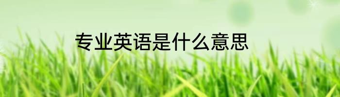 专业英语是什么意思