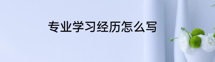 专业学习经历怎么写