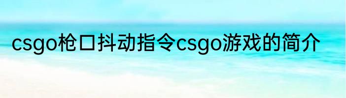 csgo枪口抖动指令csgo游戏的简介
