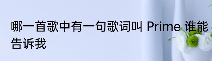 哪一首歌中有一句歌词叫 Prime 谁能告诉我