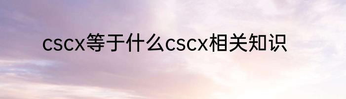 cscx等于什么cscx相关知识