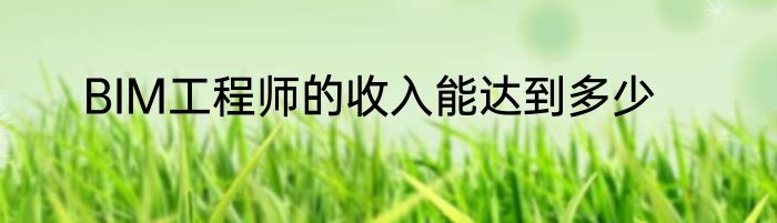 BIM工程师的收入能达到多少