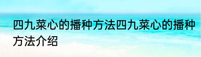 四九菜心的播种方法四九菜心的播种方法介绍