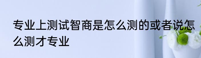 专业上测试智商是怎么测的或者说怎么测才专业