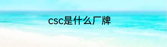 csc是什么厂牌
