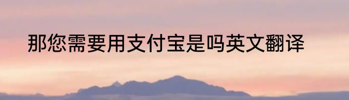 那您需要用支付宝是吗英文翻译