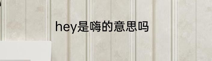 hey是嗨的意思吗