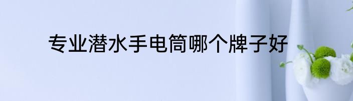 专业潜水手电筒哪个牌子好