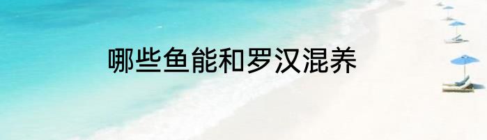 哪些鱼能和罗汉混养