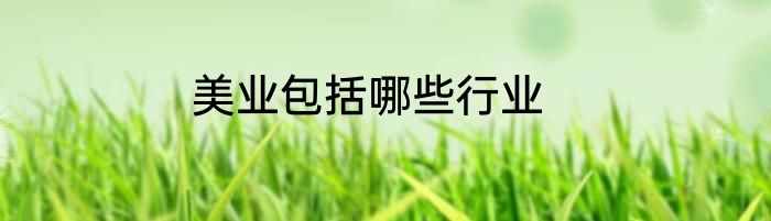 美业包括哪些行业