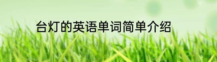台灯的英语单词简单介绍