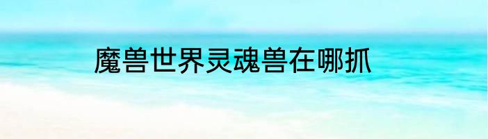 魔兽世界灵魂兽在哪抓