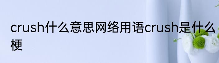 crush什么意思网络用语crush是什么梗
